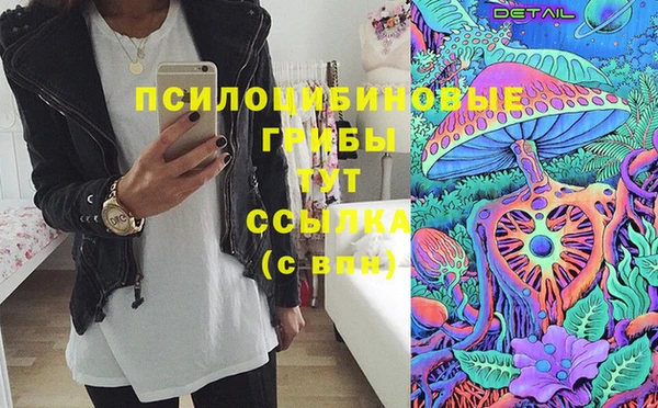 PSILOCYBIN Балабаново