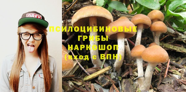 прущие грибы Балахна