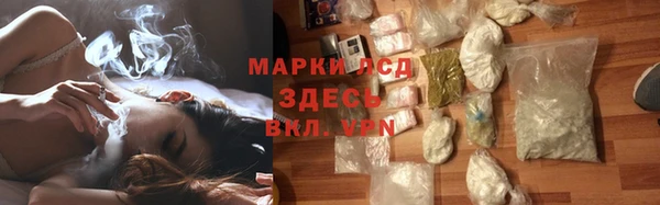 прущие грибы Балахна