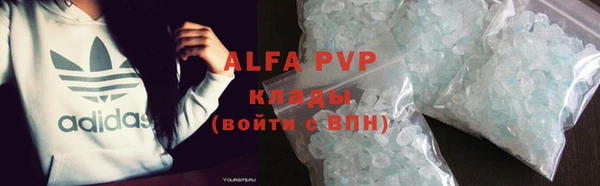 прущие грибы Балахна