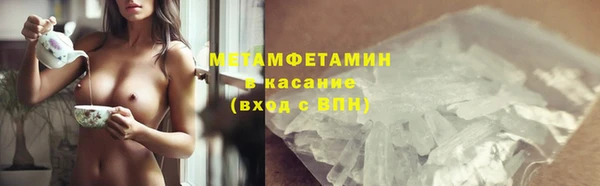 прущие грибы Балахна