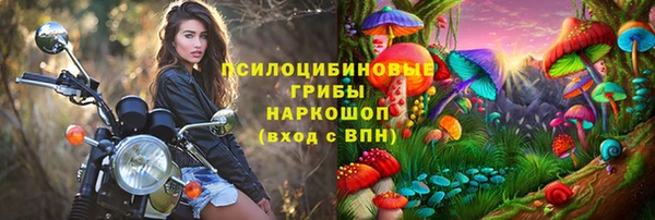 PSILOCYBIN Балабаново