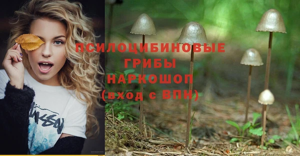 PSILOCYBIN Балабаново