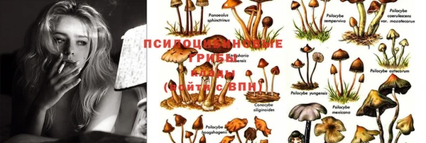 круглые Армянск