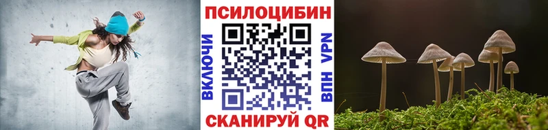 Псилоцибиновые грибы мухоморы  где купить наркоту  Углич 